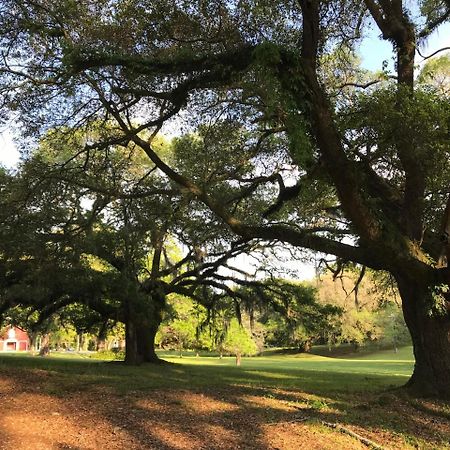 Canemount Plantation Inn Westside Экстерьер фото