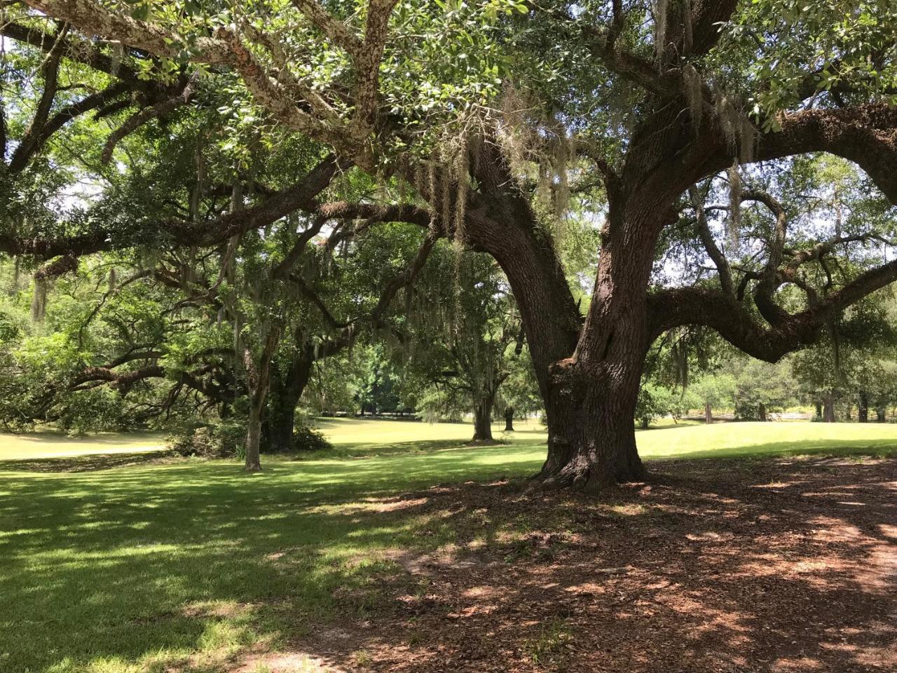 Canemount Plantation Inn Westside Экстерьер фото